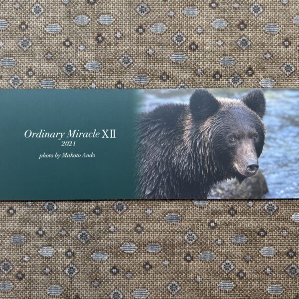 【限定セット】DVD＆フォトエッセイ「Ordinary Miracle 2021」 - 画像 (4)