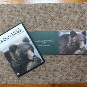 【限定セット】DVD＆フォトエッセイ「Ordinary Miracle 2021」