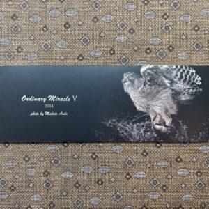 フォトエッセイ「Ordinary Miracle Ⅴ」