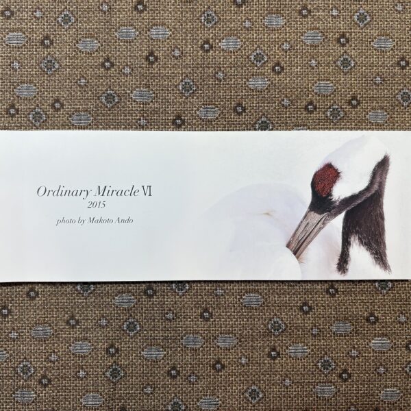 フォトエッセイ「Ordinary Miracle Ⅵ」