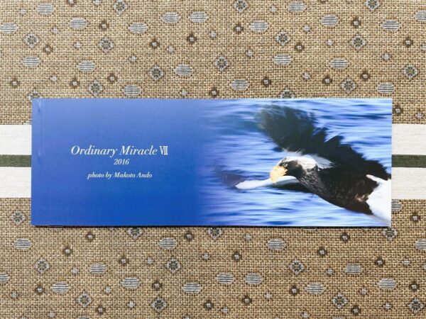 フォトエッセイ「Ordinary Miracle Ⅶ」 - 画像 (2)