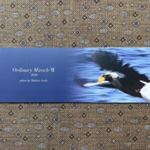 フォトエッセイ「Ordinary Miracle Ⅶ」