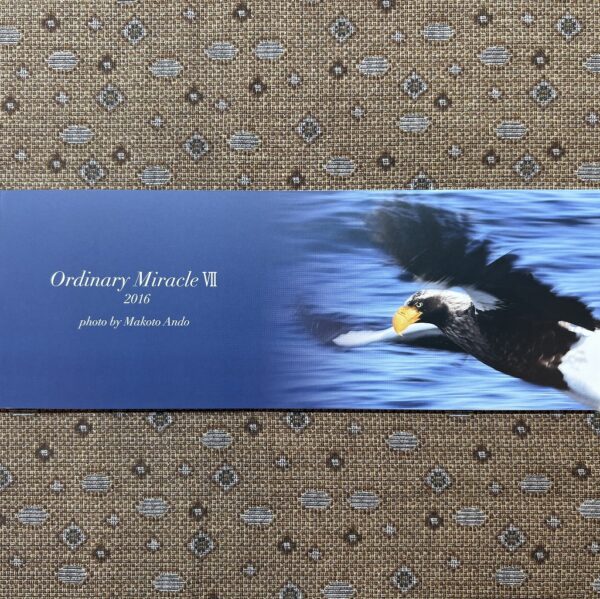 フォトエッセイ「Ordinary Miracle Ⅶ」