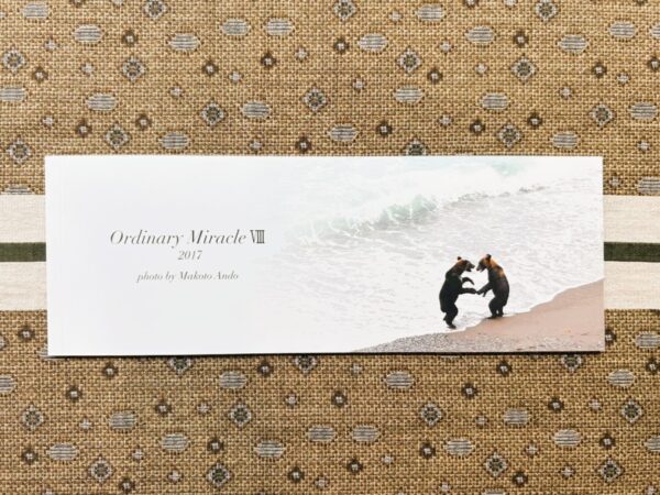 フォトエッセイ「Ordinary Miracle Ⅷ」 - 画像 (2)