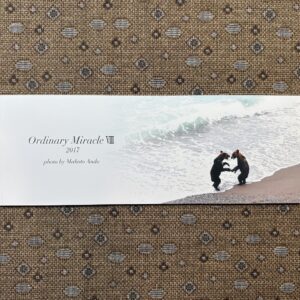 フォトエッセイ「Ordinary Miracle Ⅷ」