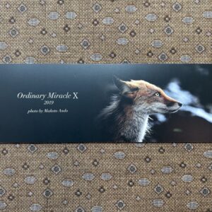 フォトエッセイ「Ordinary Miracle Ⅹ」