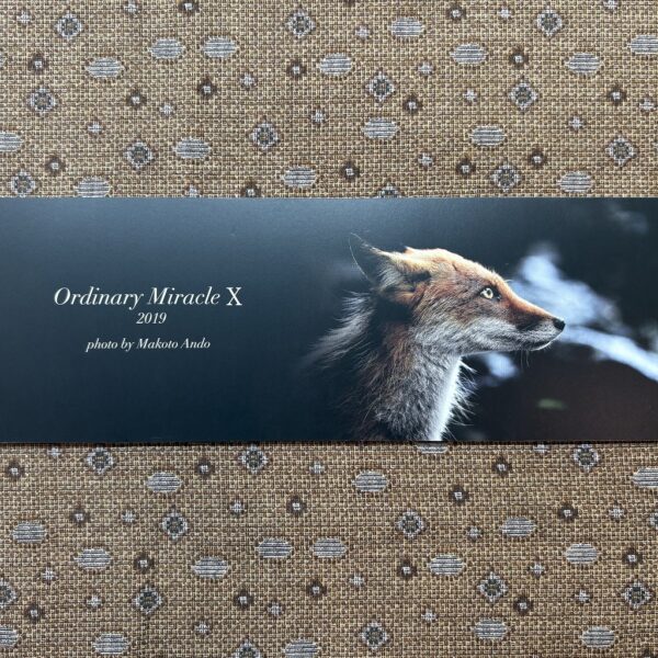 フォトエッセイ「Ordinary Miracle Ⅹ」