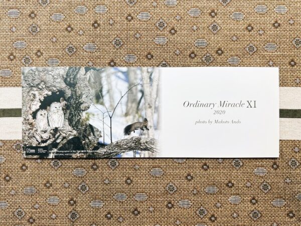 フォトエッセイ「Ordinary Miracle Ⅺ 2020」 - 画像 (2)