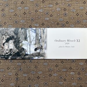 フォトエッセイ「Ordinary Miracle Ⅺ 2020」