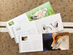 フォトエッセイのイメージ写真です