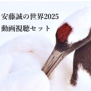 安藤誠の世界2025動画視聴セット