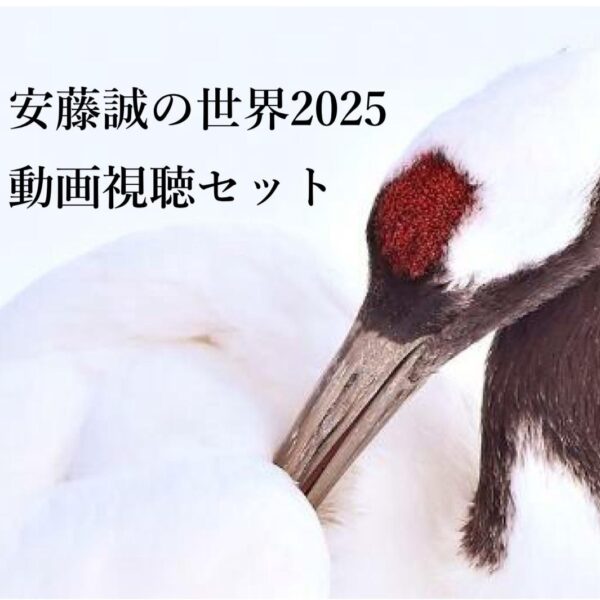 安藤誠の世界2025動画視聴セット