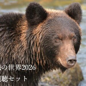 安藤誠の世界2026動画視聴セット