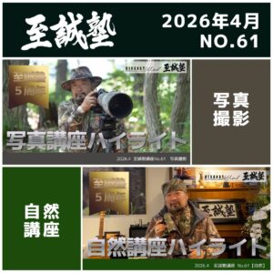 2026年4月（No.61）視聴権