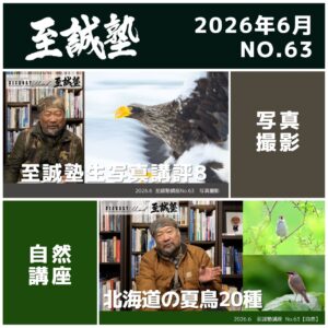 2026年6月(No.63)視聴権