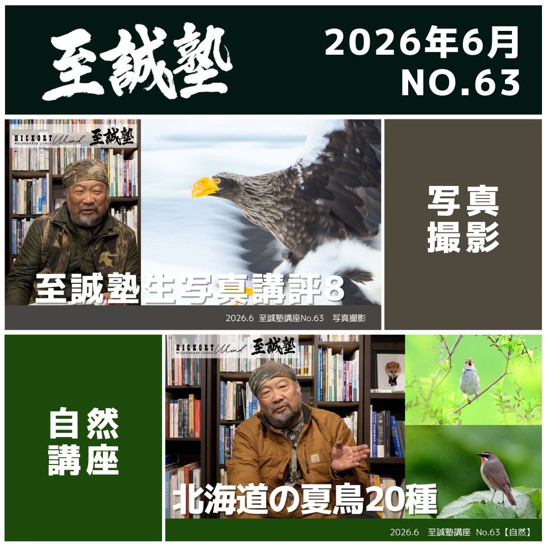 2026年6月(No.63)視聴権